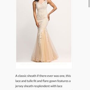Sparkle & Fade Lace and Tulle Sheath Gown
